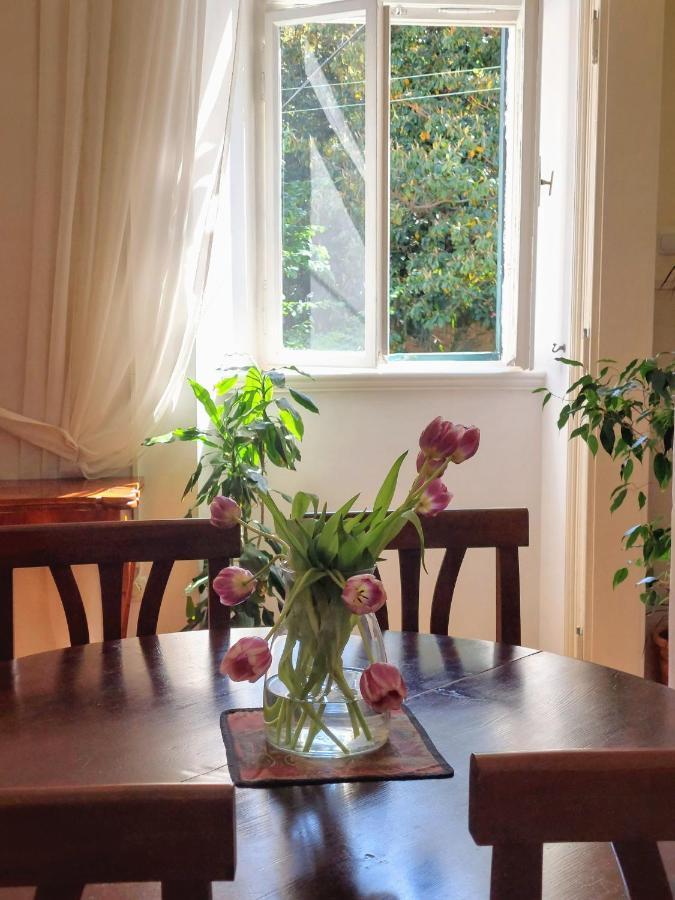 דוברובניק Apartments Batala מראה חיצוני תמונה